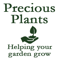 20 packs of vegetable seeds for £10 delivered
